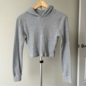 Aritzia TNA Cropped Hoodie
